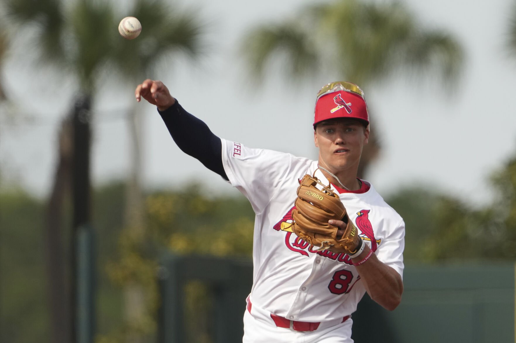 Nationals Cardinals Spring Baseball